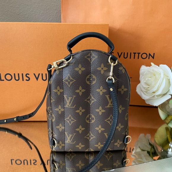 Louis Vuitton Palm Springs Mini - Picture 14 of 16